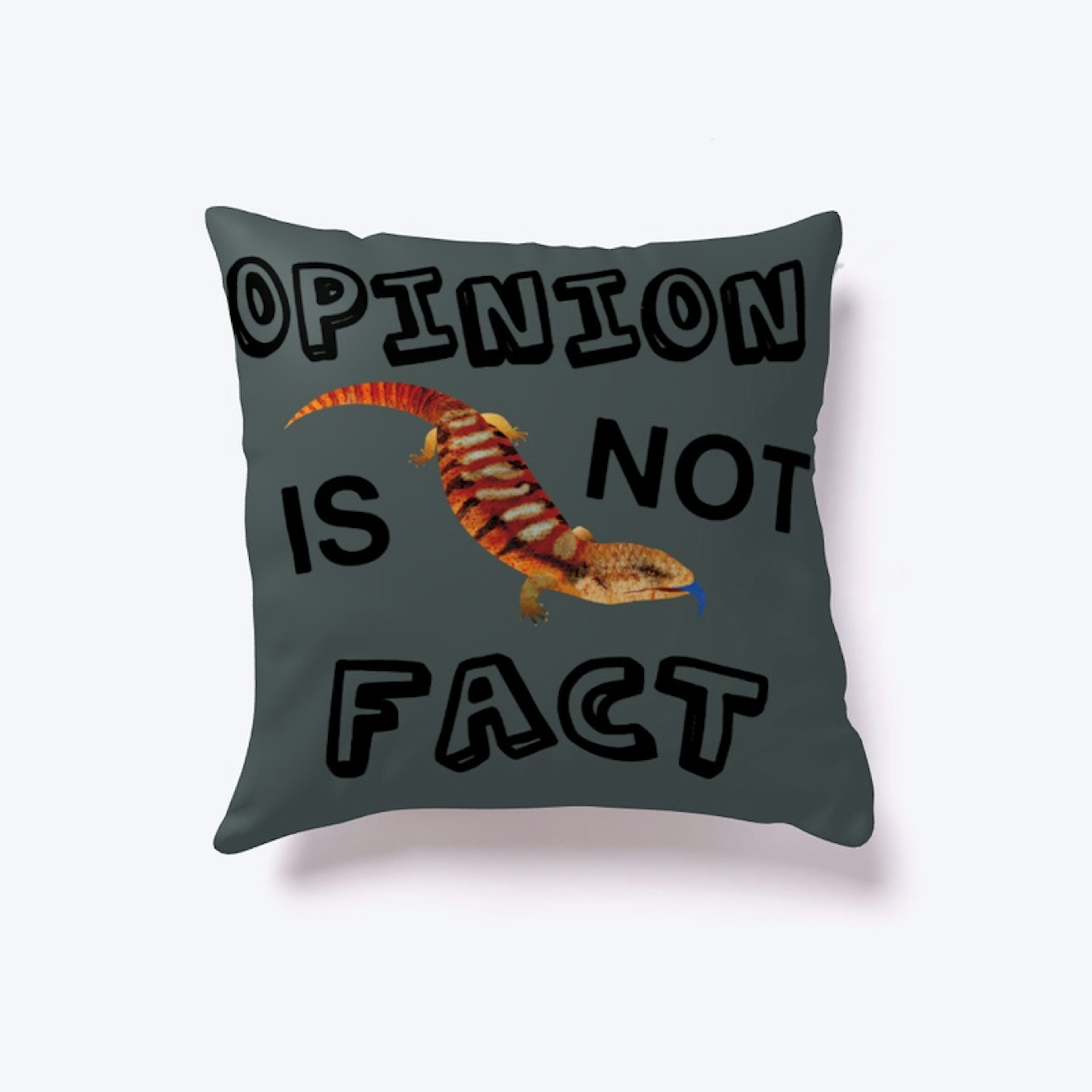 Opinion is NOT Fact!